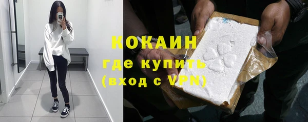 стаф Абинск