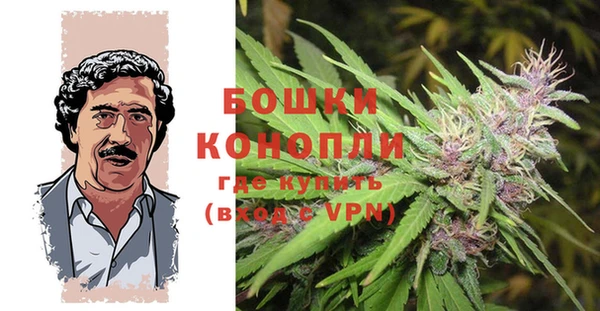 тгк Михайловск